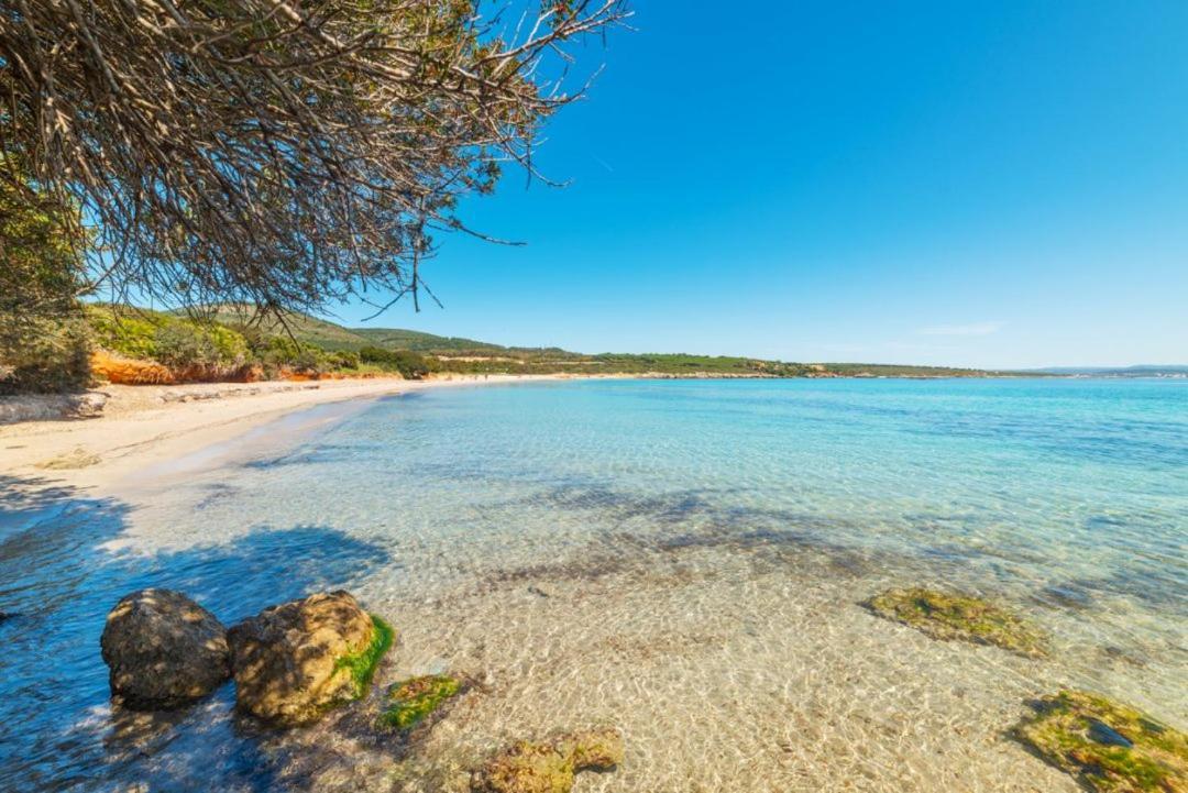 Apartament Lo Scrigno Di Ely Alghero Zewnętrze zdjęcie